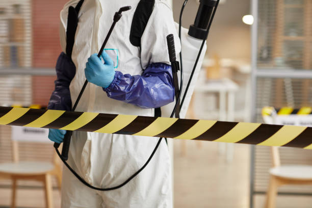 Professional Sewage Cleanup technician working in Johnson City, TN